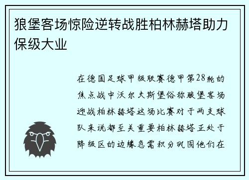 狼堡客场惊险逆转战胜柏林赫塔助力保级大业