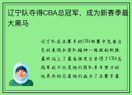 辽宁队夺得CBA总冠军，成为新赛季最大黑马